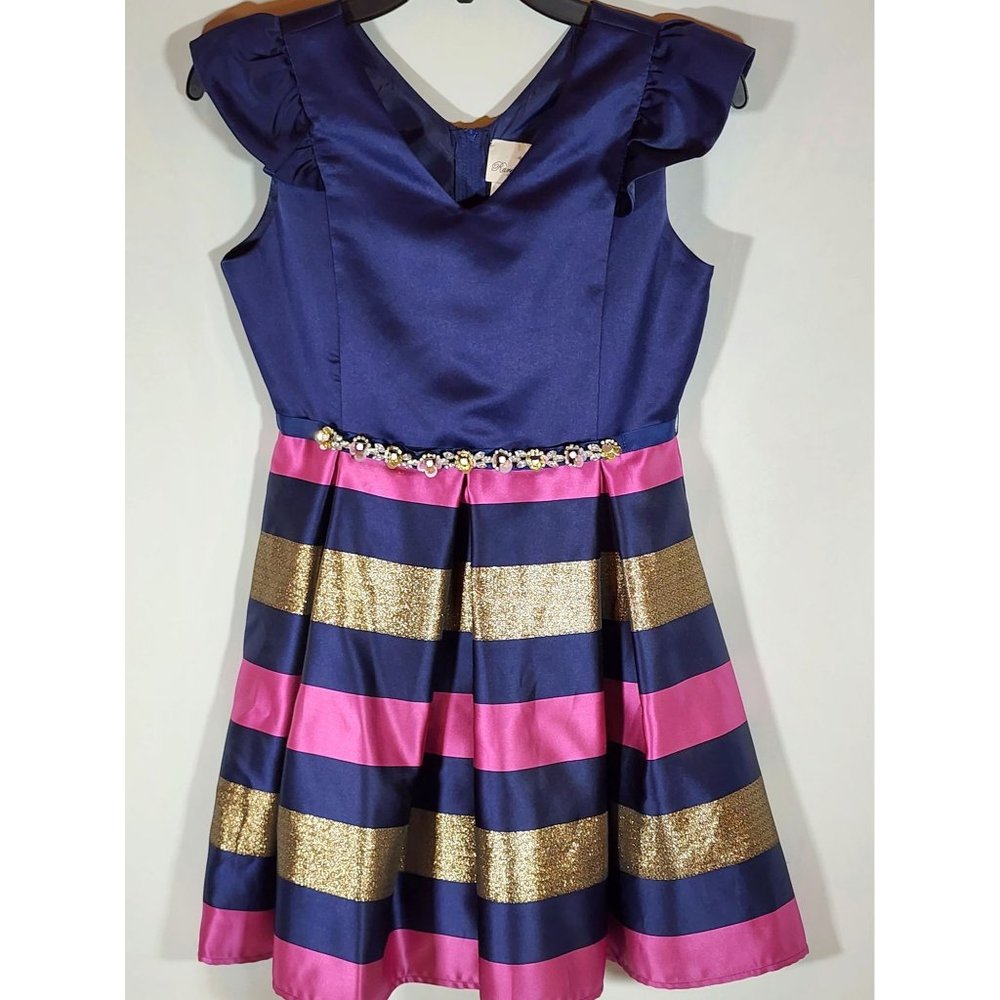 Rare Editions Girls Size‎ 14 Navy Blue Metallic Gold Plum Stripe Dress